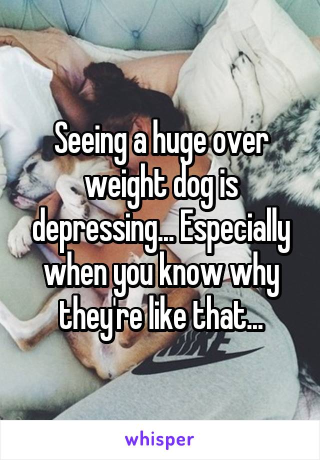 Seeing a huge over weight dog is depressing... Especially when you know why they're like that...