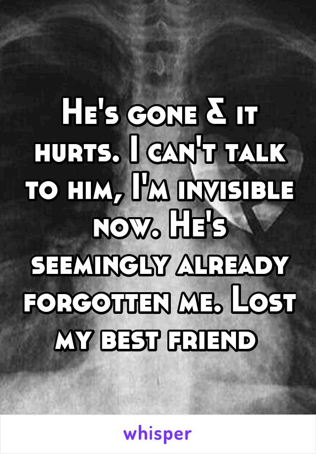 He's gone & it hurts. I can't talk to him, I'm invisible now. He's seemingly already forgotten me. Lost my best friend 