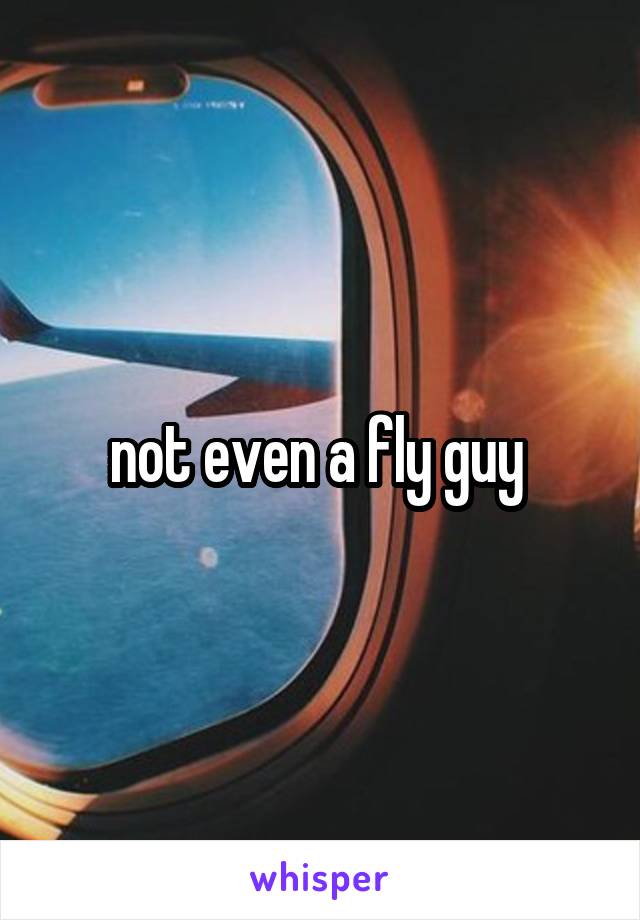 not even a fly guy 