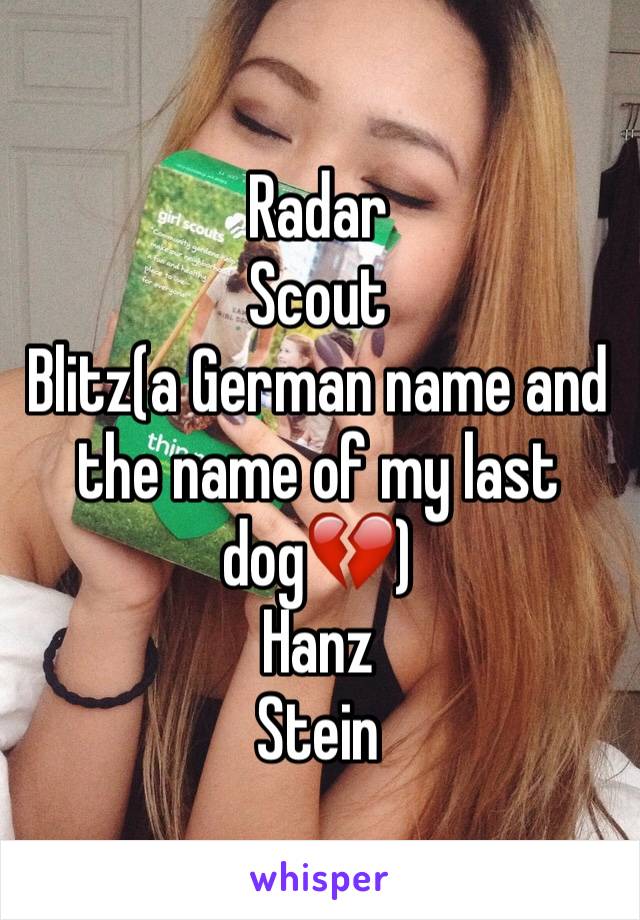 Radar
Scout
Blitz(a German name and the name of my last dog💔)
Hanz
Stein