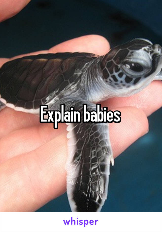 Explain babies 