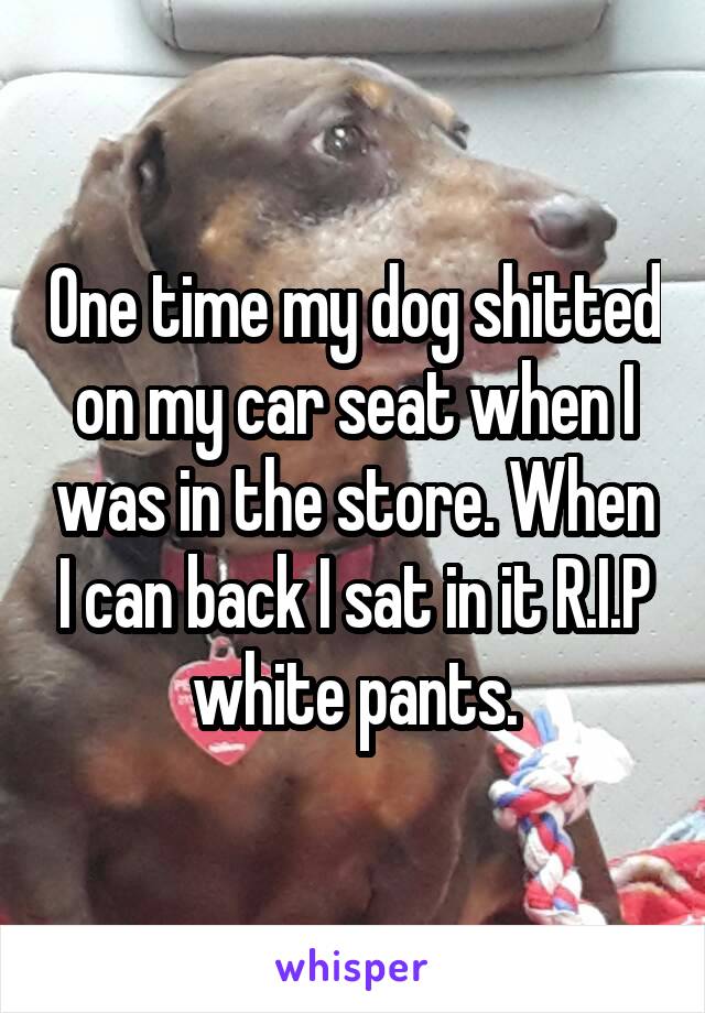 One time my dog shitted on my car seat when I was in the store. When I can back I sat in it R.I.P white pants.
