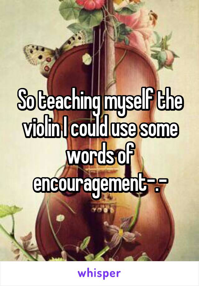 So teaching myself the violin I could use some words of encouragement-.-