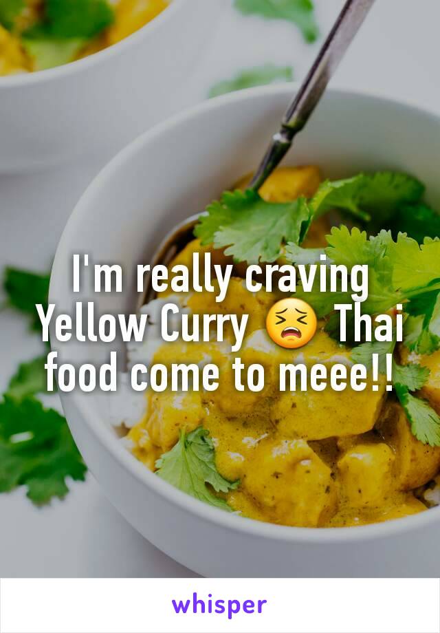 I'm really craving Yellow Curry 😣 Thai food come to meee!!