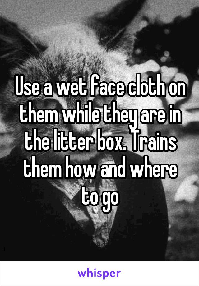 Use a wet face cloth on them while they are in the litter box. Trains them how and where to go