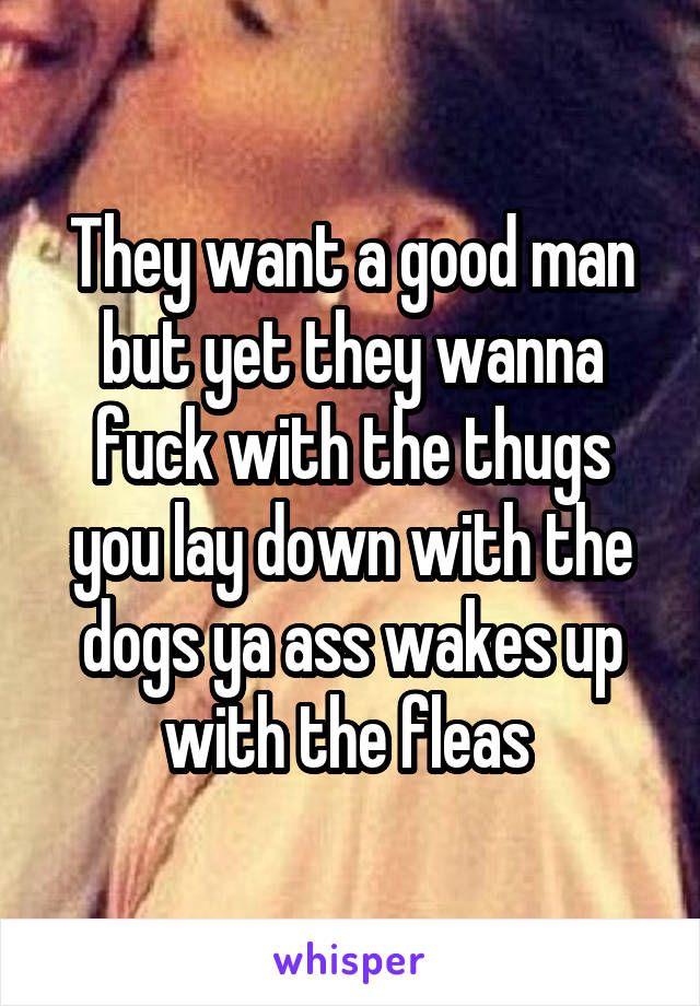 They want a good man but yet they wanna fuck with the thugs you lay down with the dogs ya ass wakes up with the fleas 