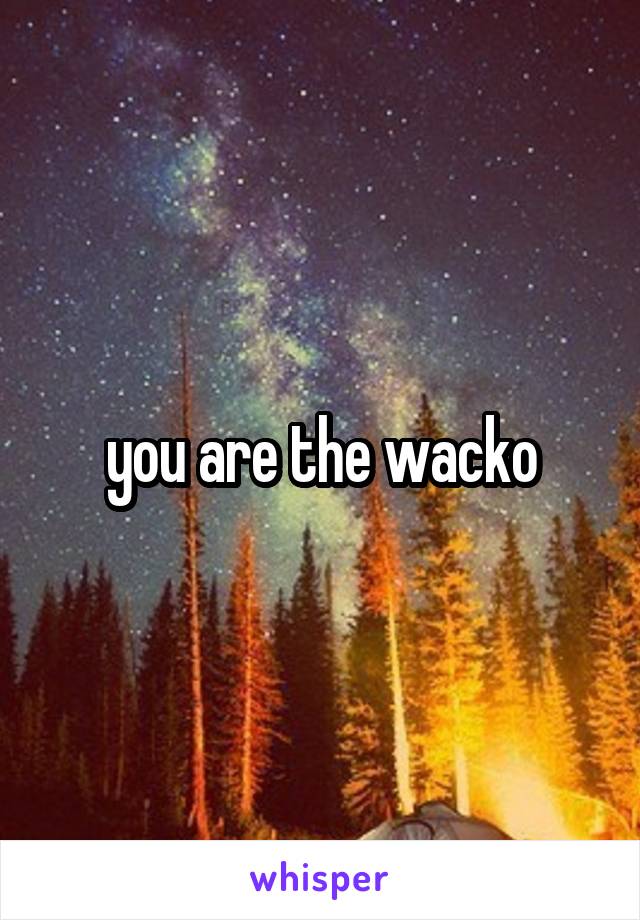 you are the wacko