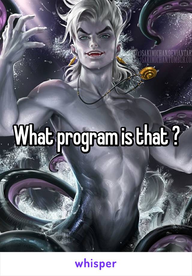 What program is that ?