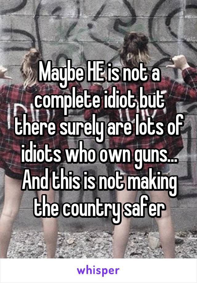 Maybe HE is not a complete idiot but there surely are lots of idiots who own guns... And this is not making the country safer