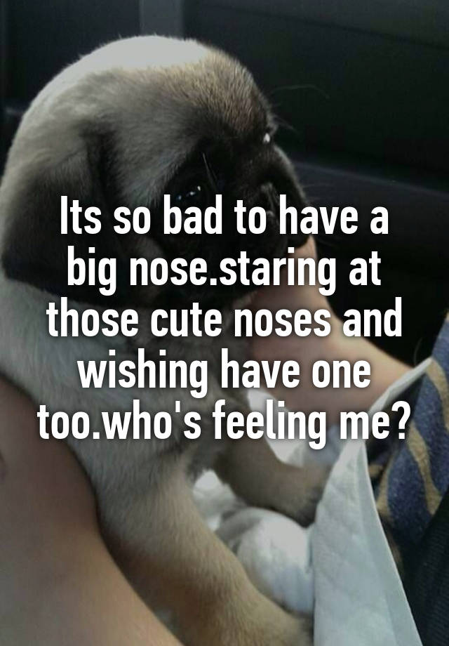 Is It Bad To Have A Big Nose