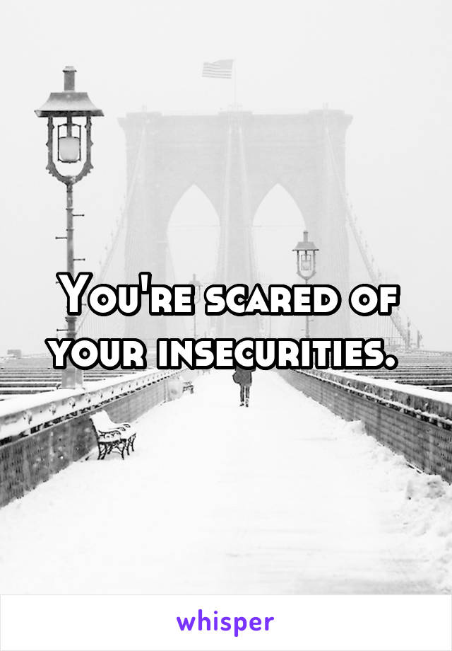 You're scared of your insecurities. 