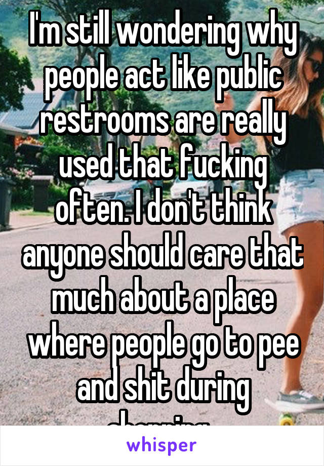 I'm still wondering why people act like public restrooms are really used that fucking often. I don't think anyone should care that much about a place where people go to pee and shit during shopping. 