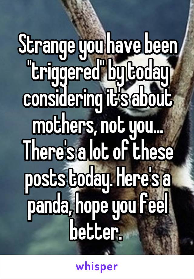 Strange you have been "triggered" by today considering it's about mothers, not you... There's a lot of these posts today. Here's a panda, hope you feel better. 