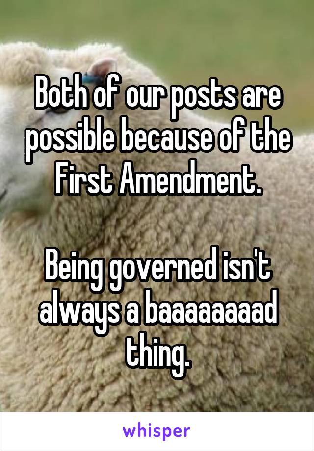 Both of our posts are possible because of the First Amendment.

Being governed isn't always a baaaaaaaad thing.