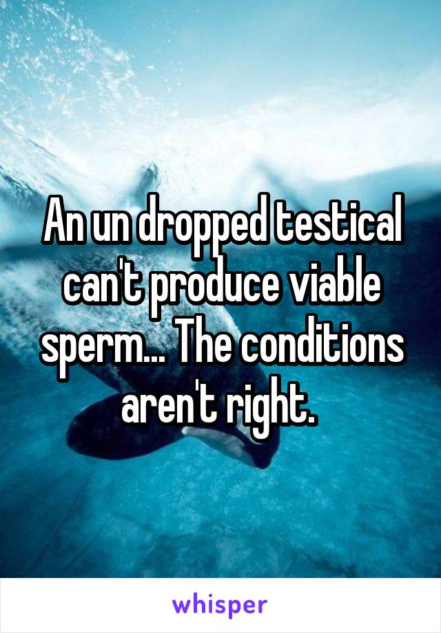 An un dropped testical can't produce viable sperm... The conditions aren't right. 