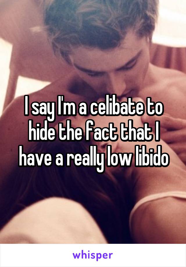 I say I'm a celibate to hide the fact that I have a really low libido