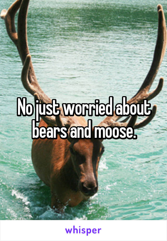 No just worried about bears and moose.