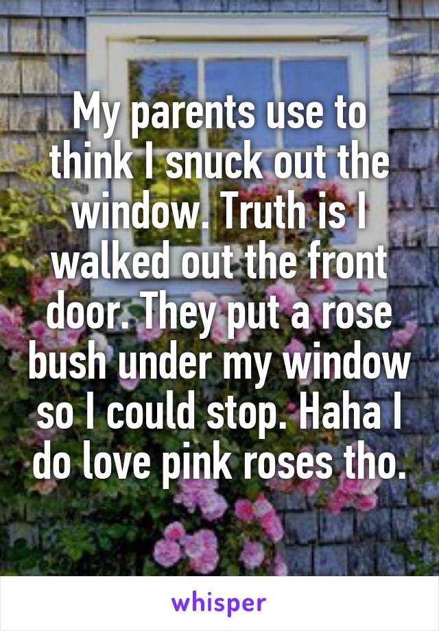 My parents use to think I snuck out the window. Truth is I walked out the front door. They put a rose bush under my window so I could stop. Haha I do love pink roses tho.
