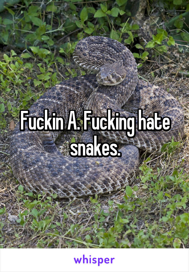 Fuckin A. Fucking hate snakes.