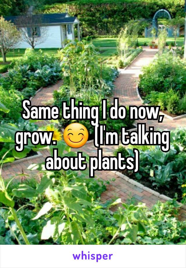 Same thing I do now, grow. 😊 (I'm talking about plants)