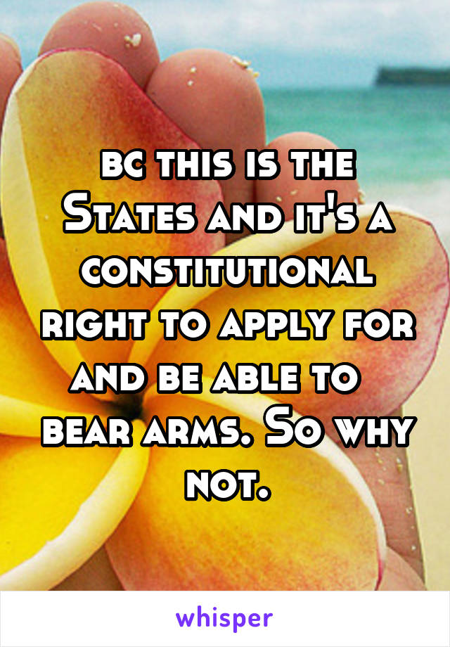 bc this is the States and it's a constitutional right to apply for and be able to   bear arms. So why not.