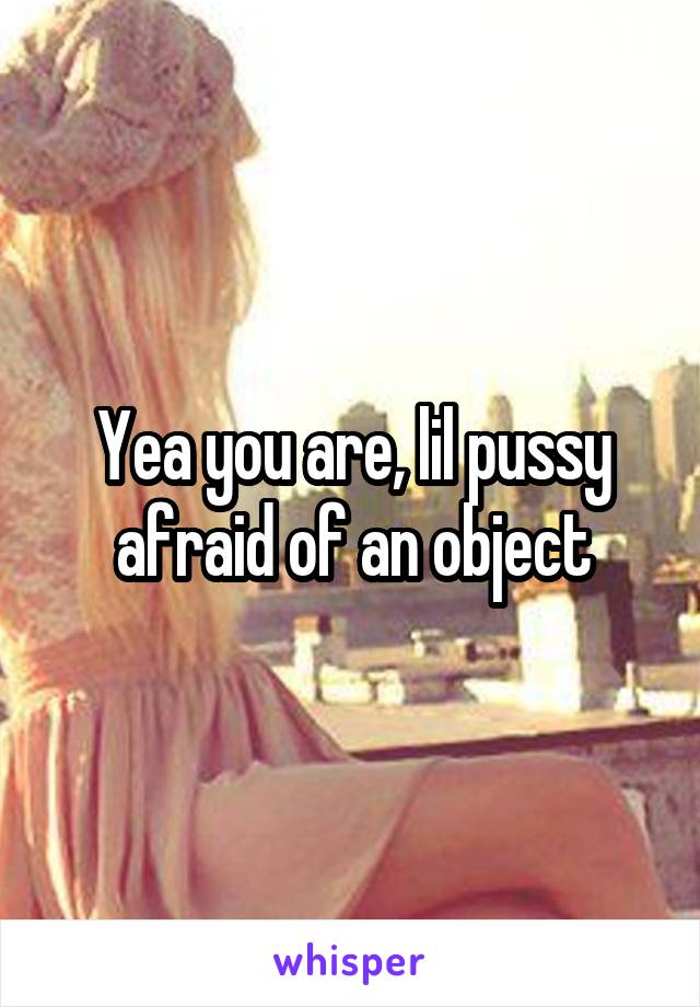 Yea you are, lil pussy afraid of an object