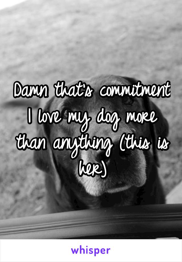 Damn that's commitment I love my dog more than anything (this is her)