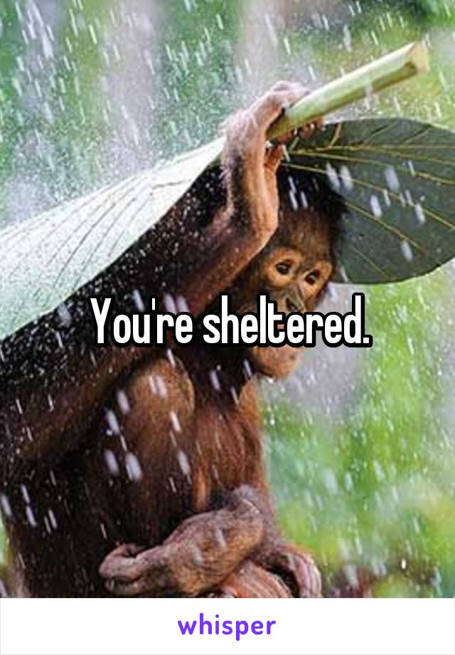 You're sheltered.