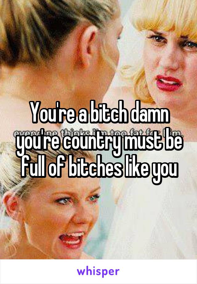 You're a bitch damn you're country must be full of bitches like you