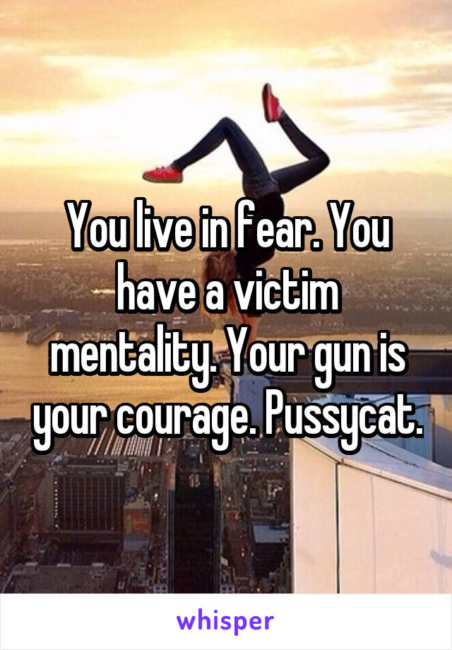 You live in fear. You have a victim mentality. Your gun is your courage. Pussycat.