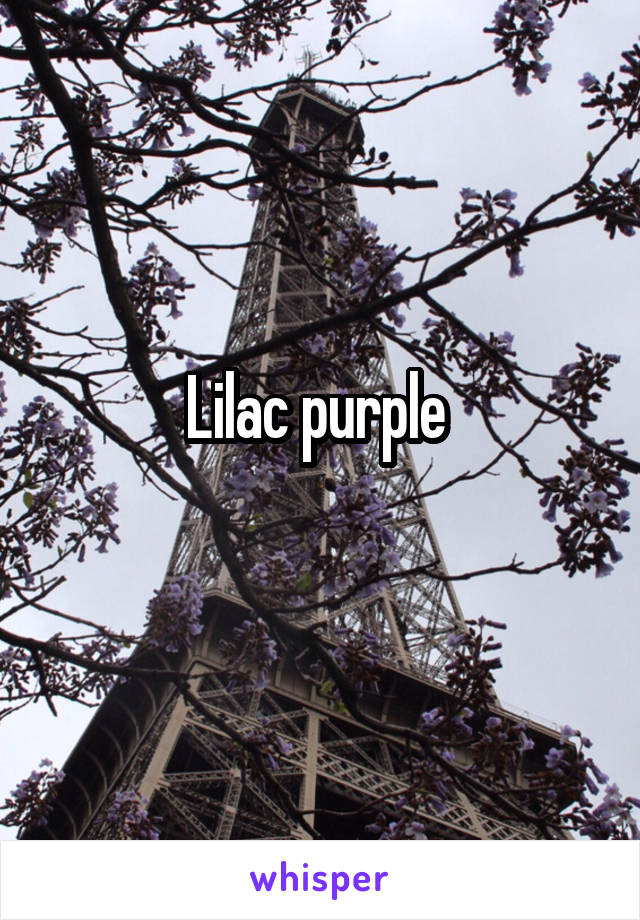 Lilac purple 
