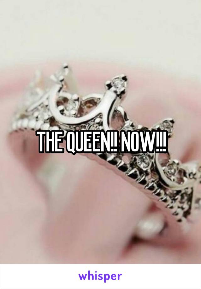 THE QUEEN!! NOW!!!