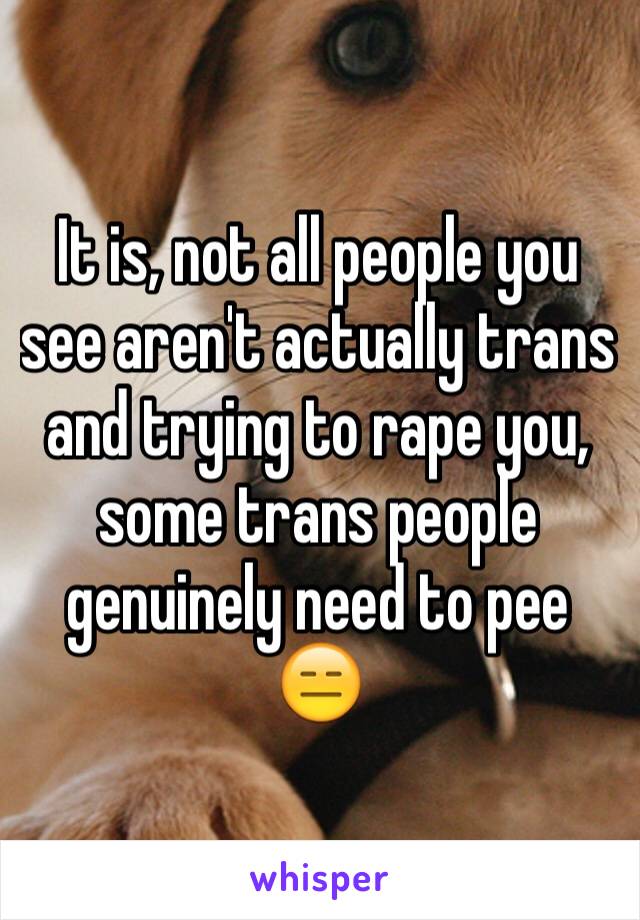 It is, not all people you see aren't actually trans and trying to rape you, some trans people genuinely need to pee 😑