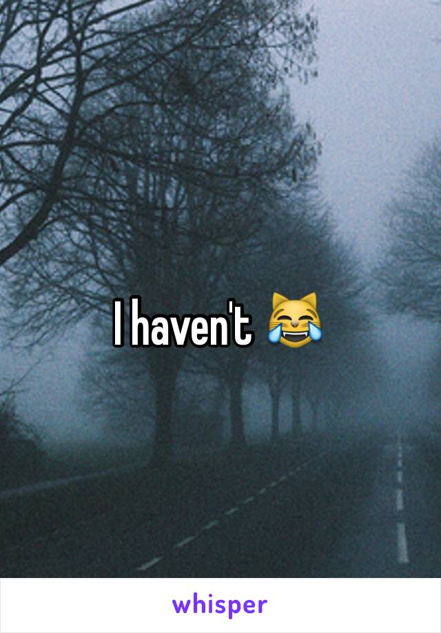 I haven't 😹