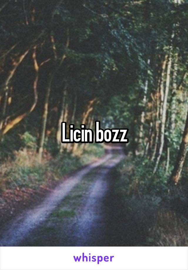 Licin bozz