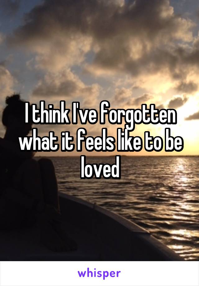 I think I've forgotten what it feels like to be loved