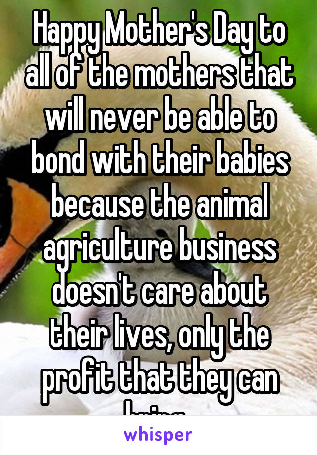 Happy Mother's Day to all of the mothers that will never be able to bond with their babies because the animal agriculture business doesn't care about their lives, only the profit that they can bring. 