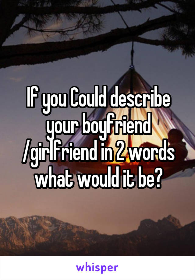 If you Could describe your boyfriend /girlfriend in 2 words what would it be?