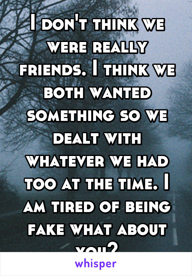 I don't think we were really friends. I think we both wanted something so we dealt with whatever we had too at the time. I am tired of being fake what about you?