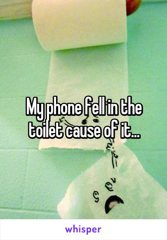 My phone fell in the toilet cause of it...