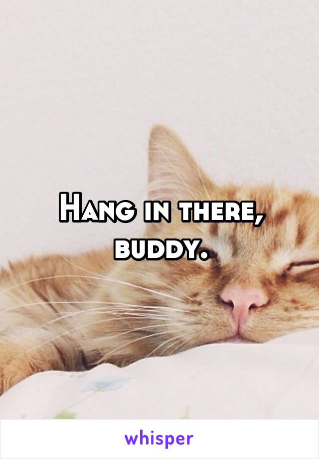 Hang in there, buddy.