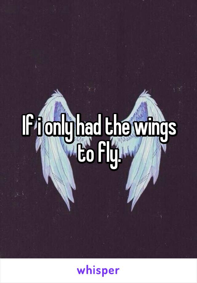 If i only had the wings to fly.