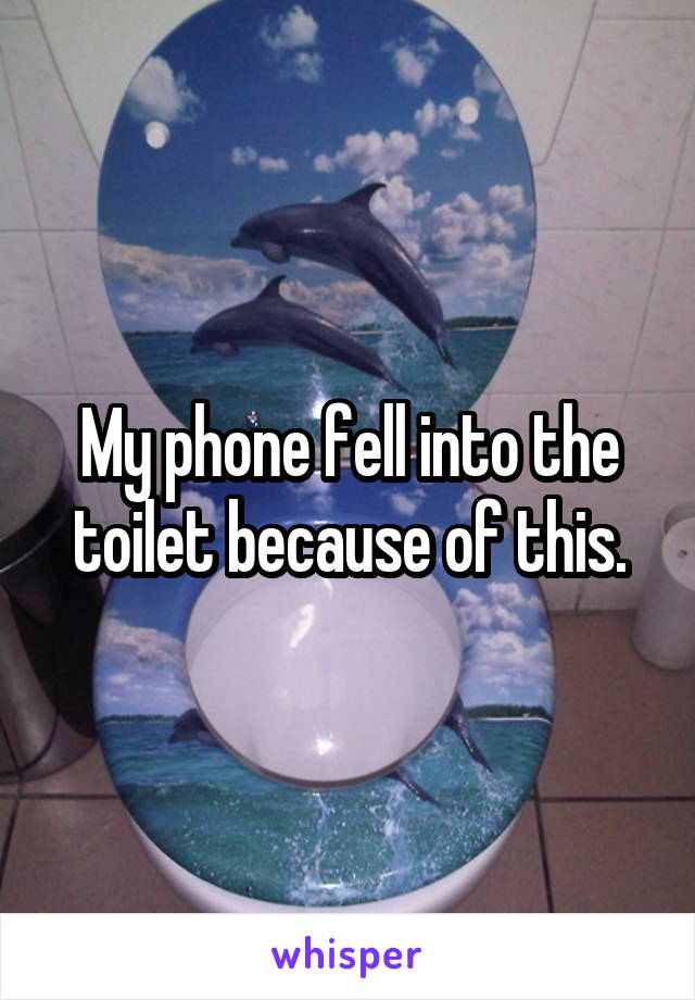 My phone fell into the toilet because of this.