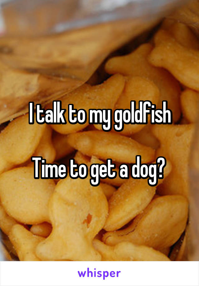 I talk to my goldfish

Time to get a dog? 