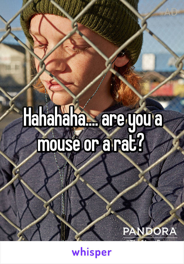 Hahahaha.... are you a mouse or a rat? 