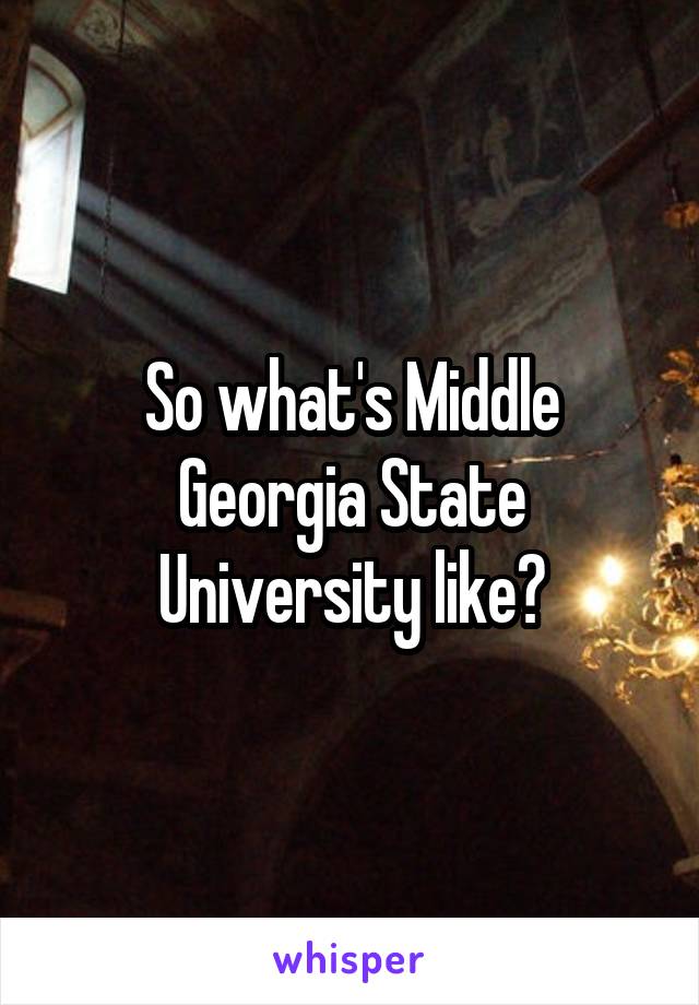 So what's Middle Georgia State University like?