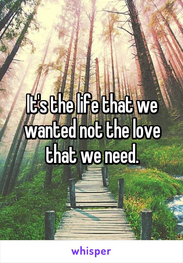 It's the life that we wanted not the love that we need.