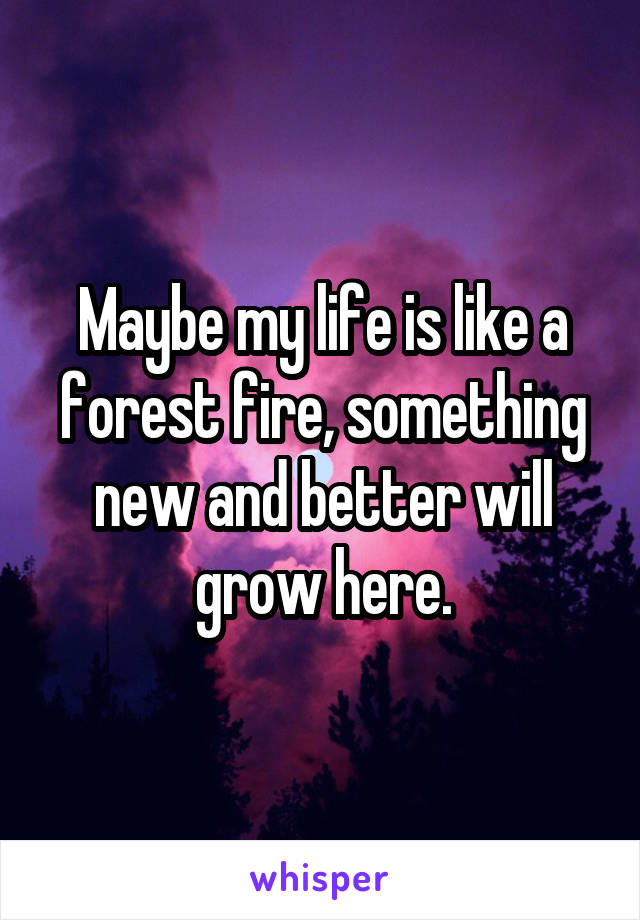 Maybe my life is like a forest fire, something new and better will grow here.