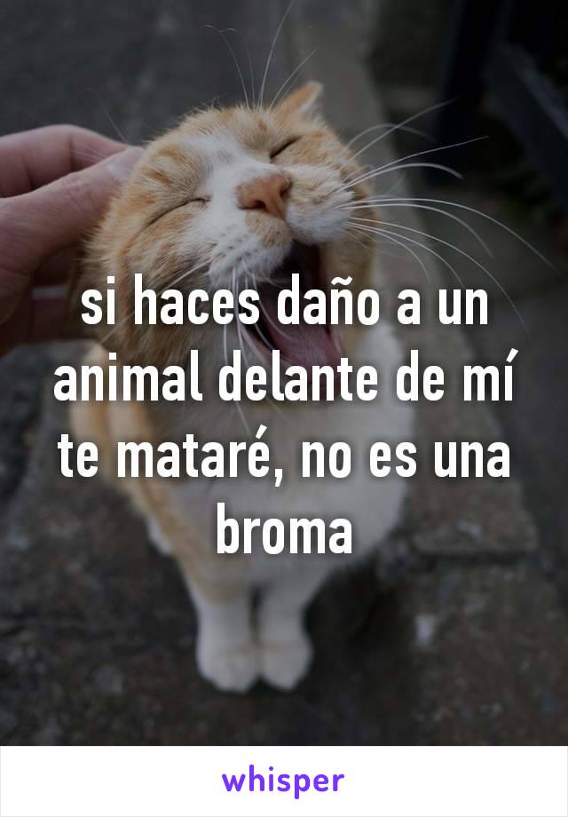 si haces daño a un animal delante de mí te mataré, no es una broma