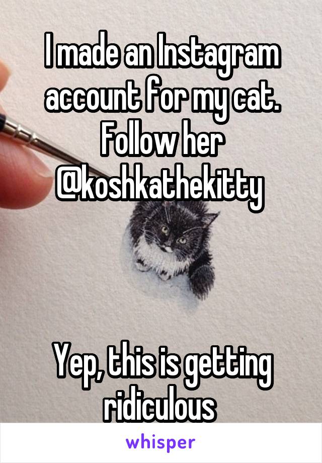 I made an Instagram account for my cat. Follow her @koshkathekitty 



Yep, this is getting ridiculous 